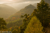 02-19  MOUNTAIN MIST, CHEAT MOUNTAIN, WV  © KENT MASON