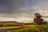 02-16  FIRST SUNLIGHT AND SHADOW, CANAAN VALLEY, WV  © KENT MASON