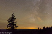 02-01  STARRY NIGHT IN DOLLY SODS WILDERNESS, WV  © KENT MASON