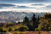 02-21  BACKLIT FOG IN DOLLY SODS WILDERNESS, WV  © KENT MASON