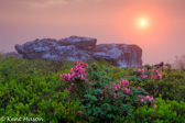 02-09  AZALEAS AT THE RIM IN A MISTY SUNRISE GLOW, DOLLY SODS WILDERNESS,  WV  © KENT MASON