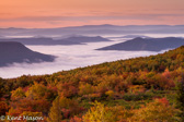 02-11  VALLEY FOG ON A FALL MORNING, DOLLY SODS WILDERNESS, WV  © KENT MASON