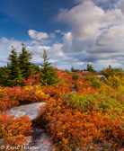 01-14  PERFECT FALL DAY ON THE MOUNTAIN TOP, BEAR ROCKS PRESERVE, WV  © KENT MASON