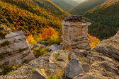 03-12  FALL AT LINDY POINT, BLACKWATER CANYON,WV  © KENT MASON