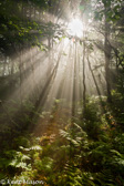 04A-28  GOD BEAMS ON MT. PORTE CRAYON, DOLLY SODS WILDERNESS, WV  © KENT MASON