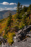 04A-02  THE EASTERN CONTINENTAL DIVIDE ALONG THE ROARING PLAINS, DOLLY SODS WILDERNESS,WV  © KENT MASON