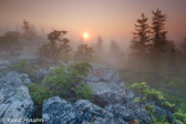 04A-17  SUN BURNING THROUGH FOG AT HIGH ROCK, DOLLY SODS WILDERNESS, WV © KENT MASON