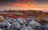 04A-45  TOP OF THE EASTERN CONTINENTAL DIVIDE IN FALL COLOR, DOLLY SODS WILDERNESS, WV  © KENT MASON