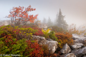 04A-35  FALL COLOR AT THE RIM, DOLLY SODS WILDERNESS,WV  © KENT MASON