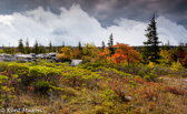 04A-11  MOUNTAIN TOP STORMY WEATHER, DOLLY SODS WILDERNESS, WV  © KENT MASON