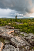 04A-14  THUNDER STORM OVER DOLLY SODS WILDERNESS, WV  © KENT MASON