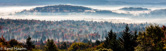 04A-10  FOG IN MOUNTAIN TOP VALLEY, DOLLY SODS WILDERNESS, WV  © KENT MASON