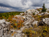 04A-08  RAVEN ROCKS, DOLLY SODS WILDERNESS, WV  © KENT MASON