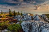 04A-04  NORTH VIEW OF THE EASTERN CONTINENTAL DIVIDE, DOLLY SODS WILDERNESS, WV  © KENT MASON