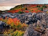 04A-05  ROUGH AND WILD, DOLLY SODS WILDERNESS,  WV  © KENT MASON