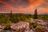 04A-48  SUNDOWN AT HIGH ROCK, DOLLY SODS WILDERNESS, WV  © KENT MASON