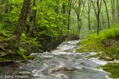 04A-30  SPRING RUNOFF ON REMOTE  WILDERNESS STREAM , DOLLY SODS WILDERNESS, WV  © KENT MASON