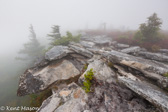 04B-16 ROCK READY TO FALL, BEAR ROCKS PRESERVE, WV © KENT MASON