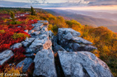 04B-04  FALL MORNING LOOKING NORTH FROM BEAR ROCKS PRESERVE, WV © KENT MASON