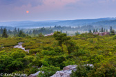 04B-10  SPRING MORNING WITH SETTING MOON, BEAR ROCKS PRESERVE, WV © KENT MASON