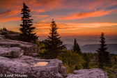 04B-01  SUNRISE  REFLECTING POOL, BEAR ROCKS PRESERVE, WV © KENT MASON