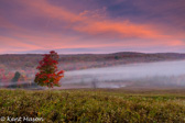 04C-42 FIRST LIGHT ON A FOGGY MORNING, CANAAN VALLEY, WV  © KENT MASON