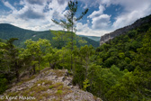 04E-03  SMOKE HOLE CANYON, WV  © KENT MASON