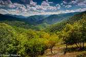 04E-02  SPRING IN SMOKE HOLE CANYON, WV  © KENT MASON