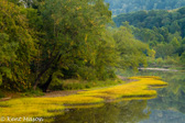 04P-08  GREENBRIER RIVER, WV  © KENT MASON