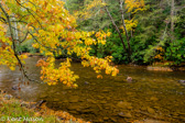 04P-03  GREENBRIER RIVER, WV  © KENT MASON