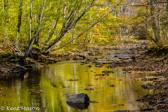 04P-04  GREENBRIER RIVER, WV  © KENT MASON