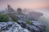 04Q-21  ALLEGHENY FRONT AND EASTERN CONTINENTAL DIVIDE, WV  © KENT MASON