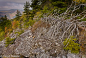 04Q-08  ALLEGHENY FRONT AND EASTERN CONTINENTAL DIVIDE, WV  © KENT MASON