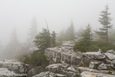 04Q-24  ALLEGHENY FRONT AND EASTERN CONTINENTAL DIVIDE, WV  © KENT MASON