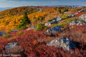 04Q-15  ALLEGHENY FRONT AND EASTERN CONTINENTAL DIVIDE, WV  © KENT MASON