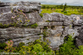 04Q-29  ALLEGHENY FRONT AND EASTERN CONTINENTAL DIVIDE, WV  © KENT MASON