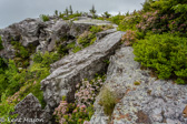 04Q-28  ALLEGHENY FRONT AND EASTERN CONTINENTAL DIVIDE, WV  © KENT MASON