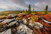 04Q-36  ALLEGHENY FRONT AND EASTERN CONTINENTAL DIVIDE, WV  © KENT MASON