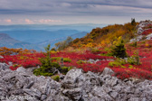 04Q-11  ALLEGHENY FRONT AND EASTERN CONTINENTAL DIVIDE, WV  © KENT MASON