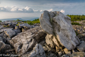 04Q-31  ALLEGHENY FRONT AND EASTERN CONTINENTAL DIVIDE, WV  © KENT MASON