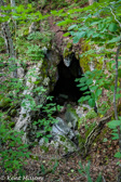 05G-03 CASS CAVE, WV  © KENT MASON