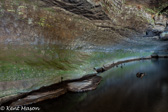 05G-28 SINKS OF GANDY CAVE, WV  © KENT MASON