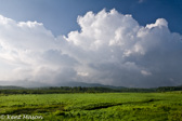 10H-14 WEATHER IN THE WV HIGHLANDS  © KENT MASON