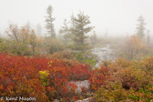 10H-09 WEATHER IN THE WV HIGHLANDS  © KENT MASON