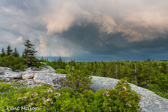 10H-20 WEATHER IN THE WV HIGHLANDS  © KENT MASON