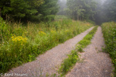 10K-04  ALONG COUNTRY ROADS, WV  © KENT MASON