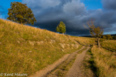 10K-02  ALONG COUNTRY ROADS, WV  © KENT MASON