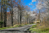 10K-05  ALONG COUNTRY ROADS, WV  © KENT MASON