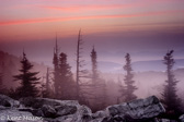 10L-06 PREDAWN, BEAR ROCKS PRESERVE, WV  © KENT MASON