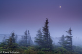 10L-03 MOONLIT NIGHT, DOLLY SODS WILDERNESS, WV  © KENT MASON